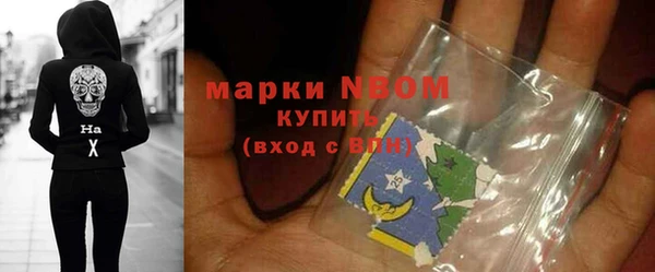 шишки Снежинск