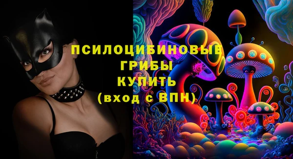шишки Снежинск
