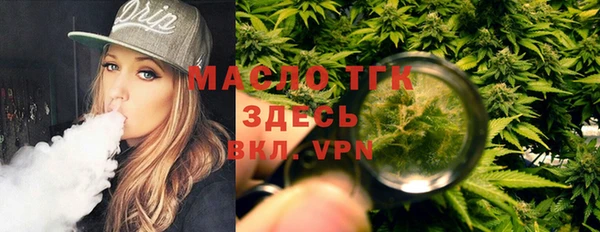 ешки Снежногорск