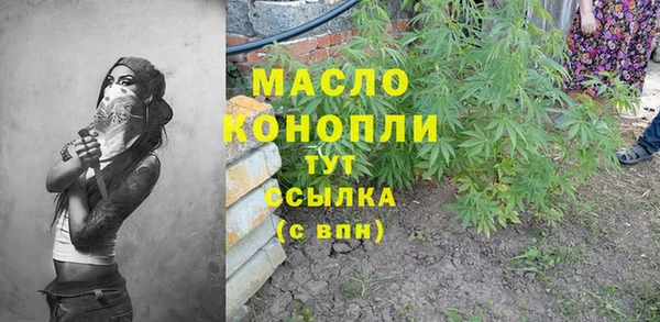 ешки Снежногорск