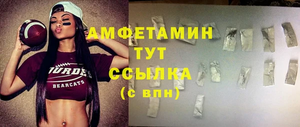 ешки Снежногорск