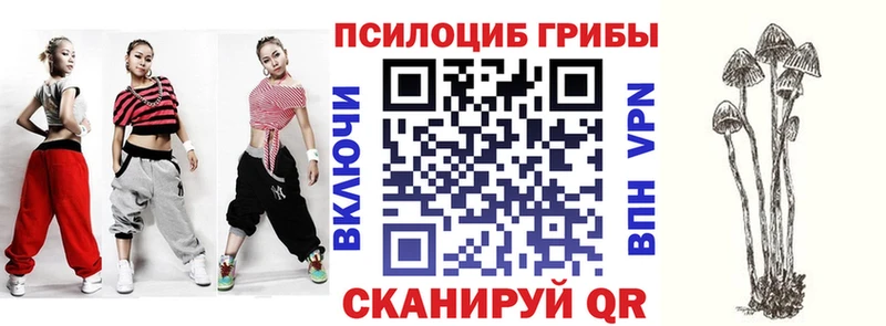 Купить закладки  Крымск  Галлюциногенные грибы GOLDEN TEACHER 